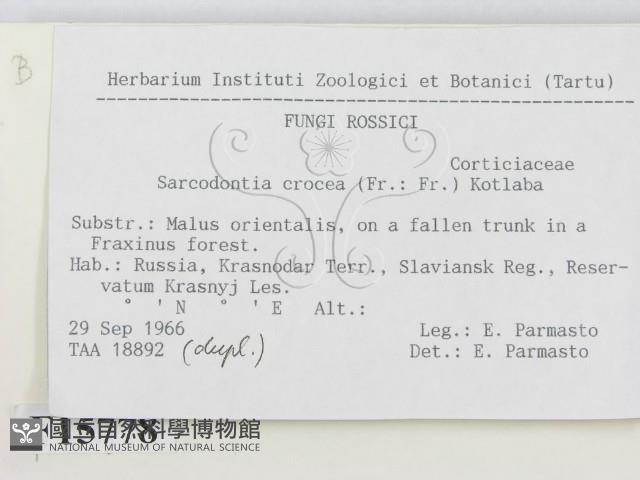 登錄號:F0015778藏品圖，第2張