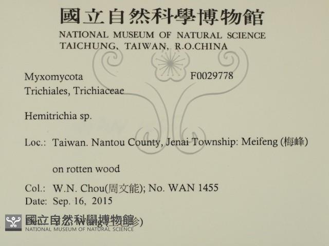 登錄號:F0029778藏品圖，第2張