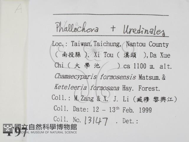 登錄號:F0009778藏品圖，第2張