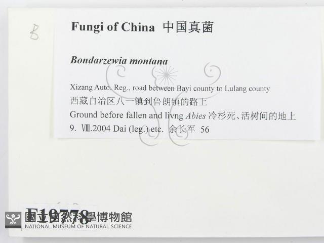 登錄號:F0019778藏品圖，第2張