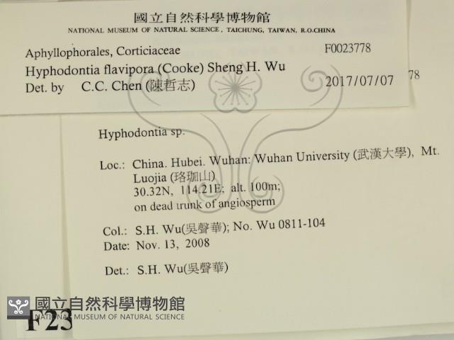 登錄號:F0023778藏品圖，第2張