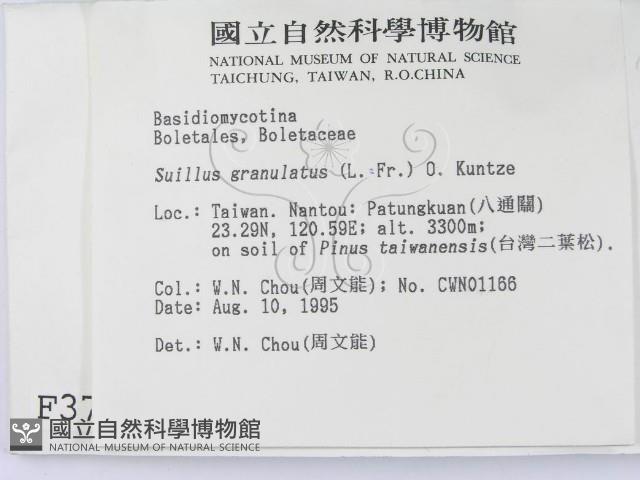 登錄號:F0003778藏品圖，第2張