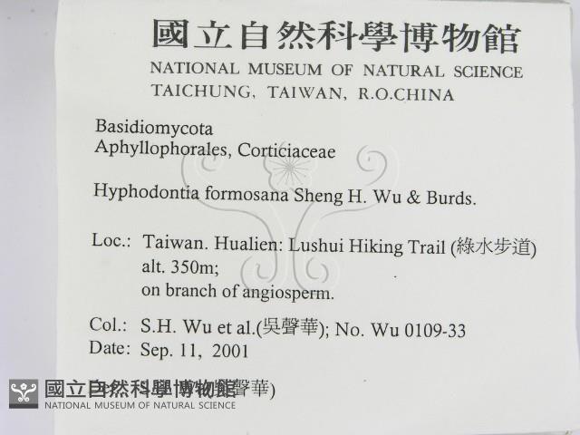 登錄號:F0013778藏品圖，第2張