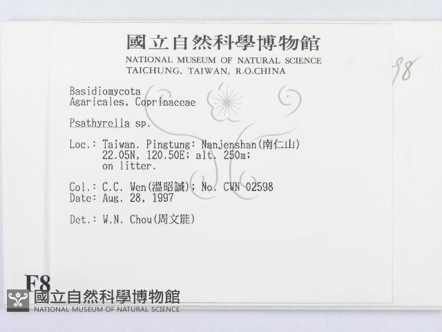 登錄號:F0008578藏品圖，第2張