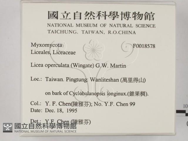 登錄號:F0018578藏品圖，第2張