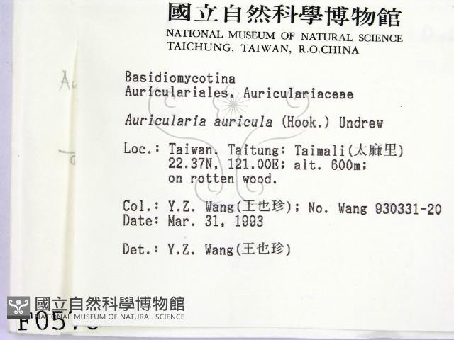 登錄號:F0000578藏品圖，第2張