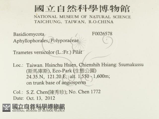 雲芝藏品圖，第2張