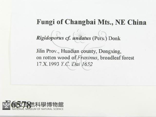 登錄號:F0006578藏品圖，第2張