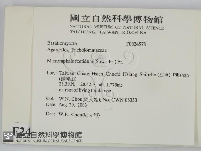 登錄號:F0024578藏品圖，第2張