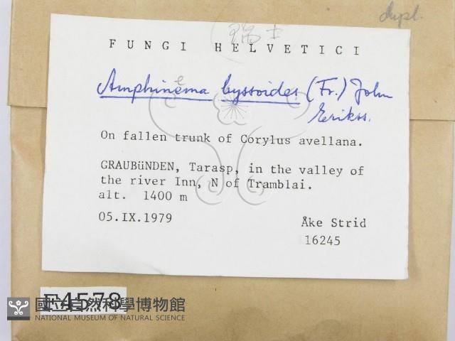 登錄號:F0004578藏品圖，第2張