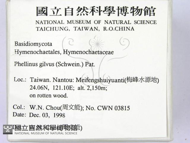 登錄號:F0012578藏品圖，第2張