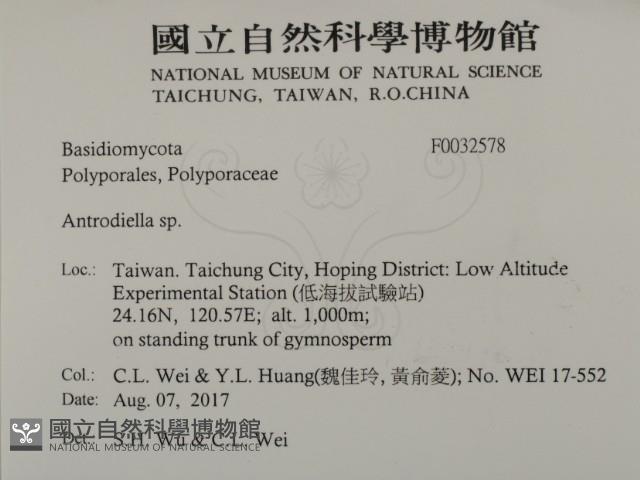 登錄號:F0032578藏品圖，第2張