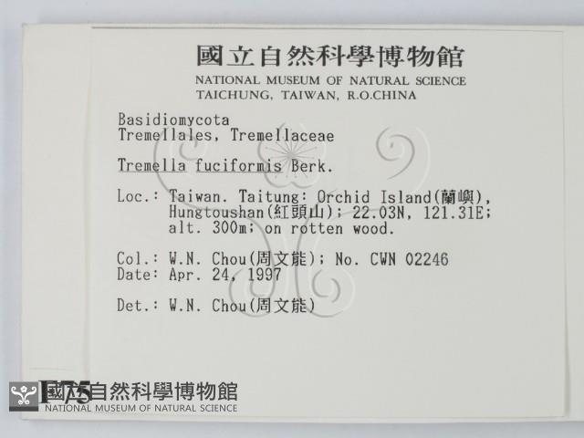 登錄號:F0007578藏品圖，第2張