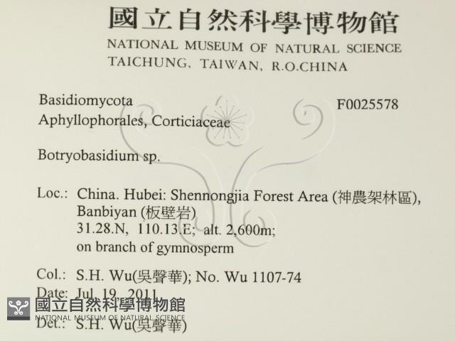 登錄號:F0025578藏品圖，第2張