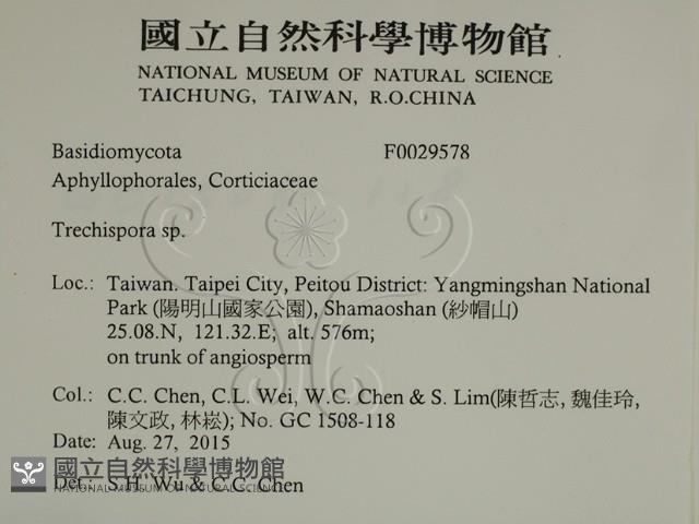 粗糙孢菌屬藏品圖，第2張
