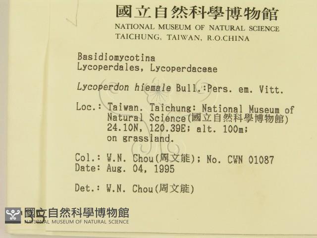 登錄號:F0003578藏品圖，第2張