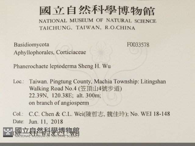 登錄號:F0033578藏品圖，第2張