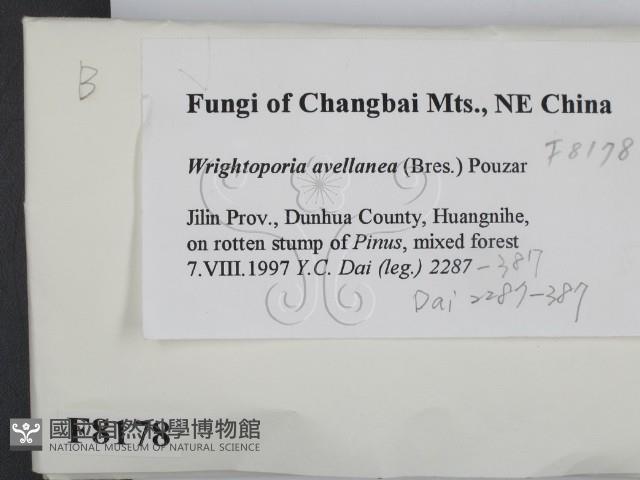 登錄號:F0008178藏品圖，第2張