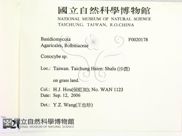 登錄號:F0020178藏品圖，第2張