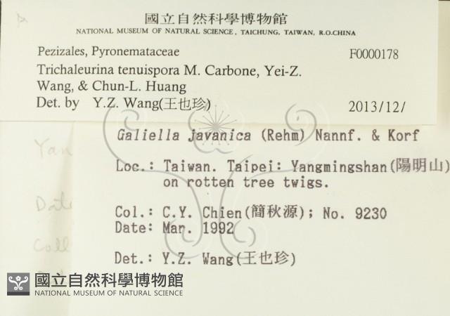 登錄號:F0000178藏品圖，第2張