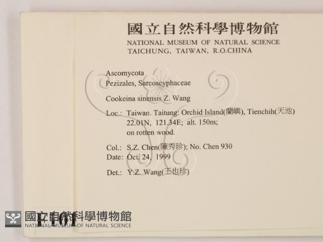 登錄號:F0010178藏品圖，第2張