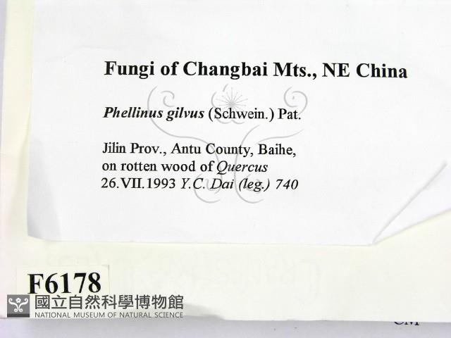 登錄號:F0006178藏品圖，第2張