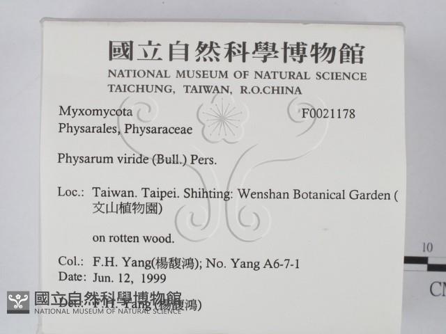 登錄號:F0021178藏品圖，第2張