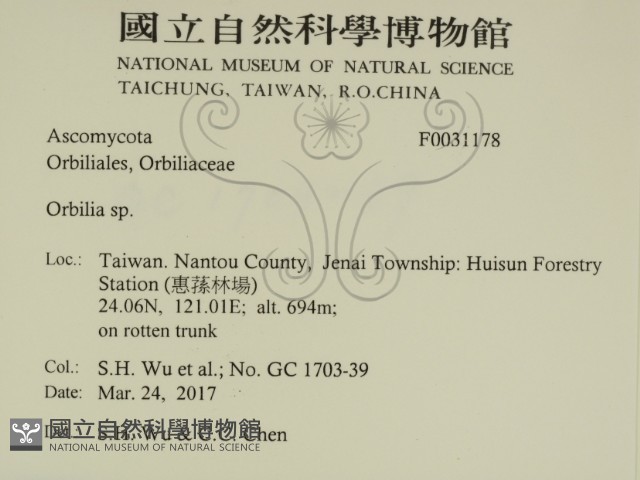 登錄號:F0031178藏品圖，第2張