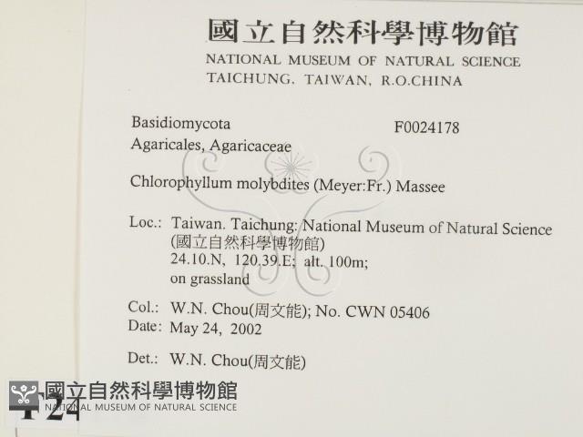 登錄號:F0024178藏品圖，第2張