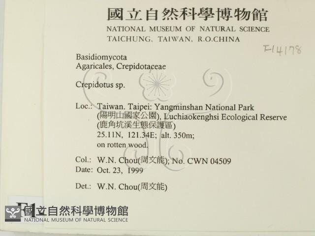 登錄號:F0014178藏品圖，第2張