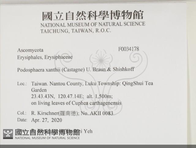 登錄號:F0034178藏品圖，第2張