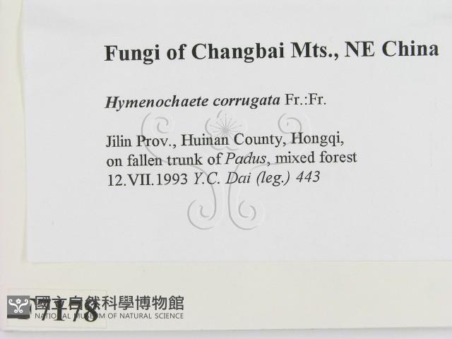 登錄號:F0007178藏品圖，第2張