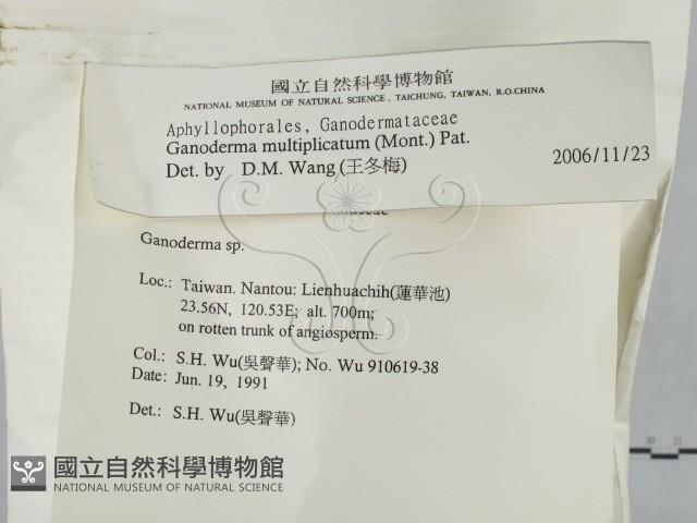登錄號:F0015178藏品圖，第2張
