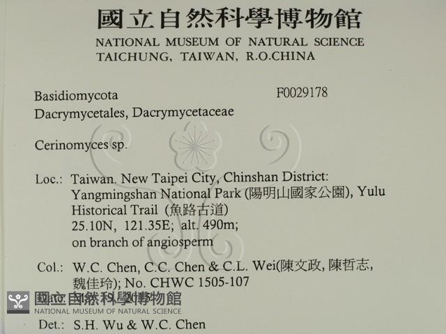 登錄號:F0029178藏品圖，第2張