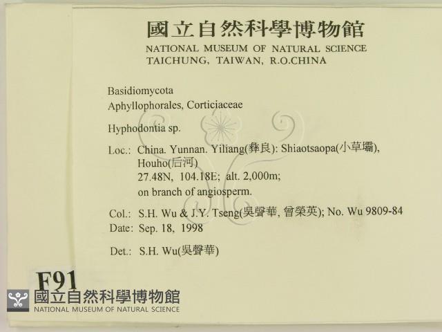 登錄號:F0009178藏品圖，第2張