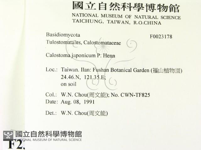 登錄號:F0023178藏品圖，第2張