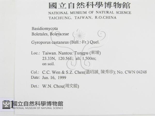 登錄號:F0013178藏品圖，第2張