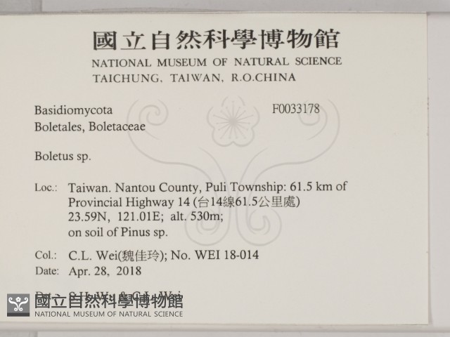 登錄號:F0033178藏品圖，第2張