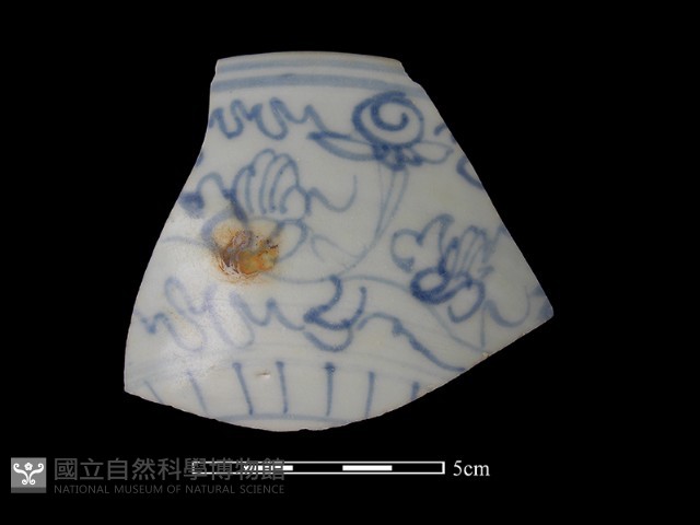 瓷片藏品圖，第2張