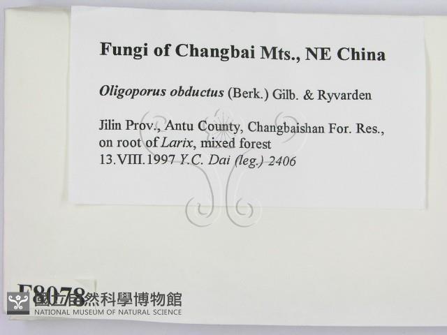 登錄號:F0008078藏品圖，第2張