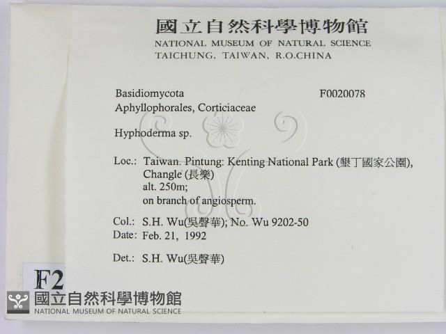 絲皮菌屬藏品圖，第2張
