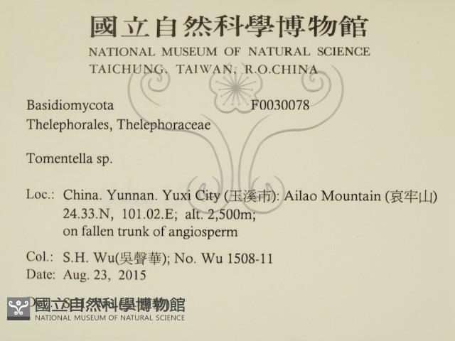 登錄號:F0030078藏品圖，第2張