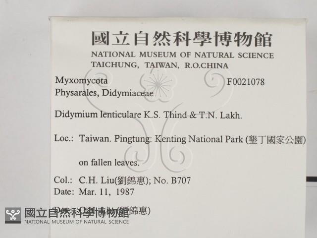 登錄號:F0021078藏品圖，第2張