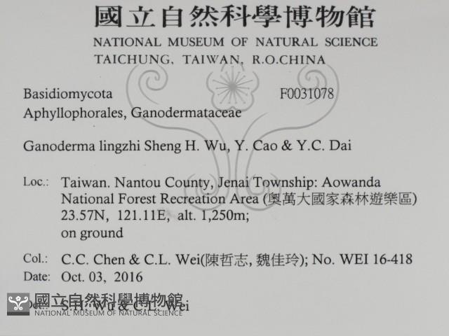 登錄號:F0031078藏品圖，第2張