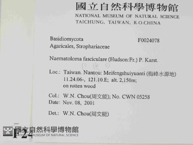 登錄號:F0024078藏品圖，第2張
