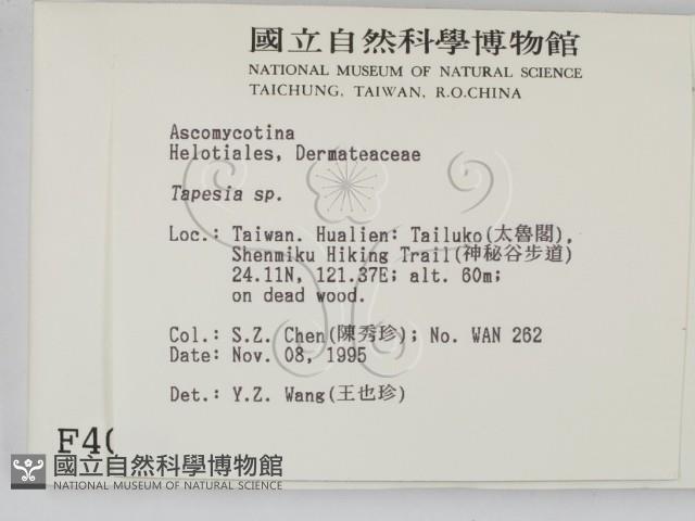 登錄號:F0004078藏品圖，第2張