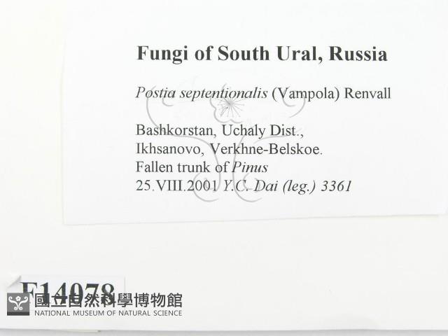 登錄號:F0014078藏品圖，第2張