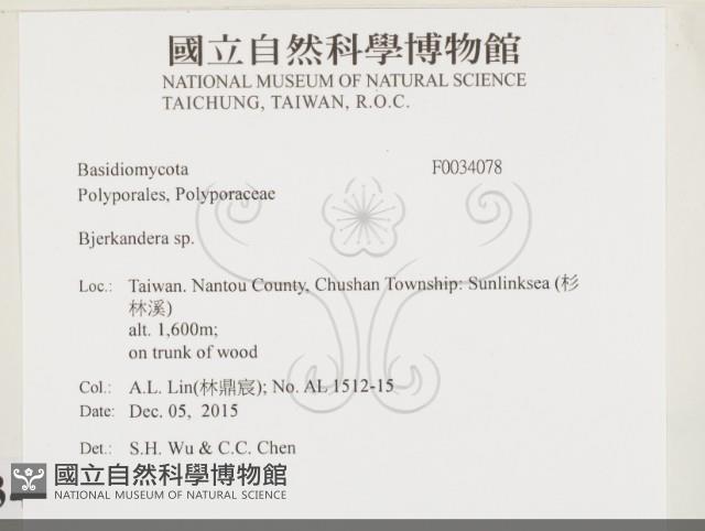 登錄號:F0034078藏品圖，第2張