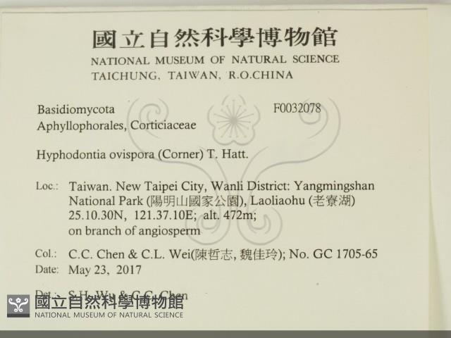 登錄號:F0032078藏品圖，第2張