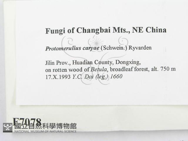 Accession Number:F0007078 Collection Image, Figure 2, Total 3 Figures